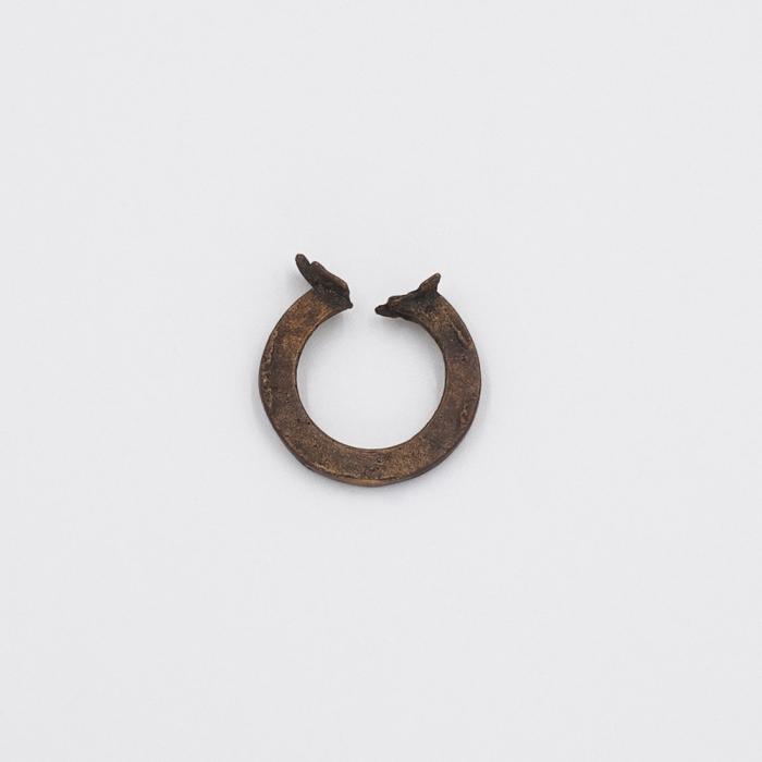 Bronze Ring 01_2/9 by Rudee Tancharoen