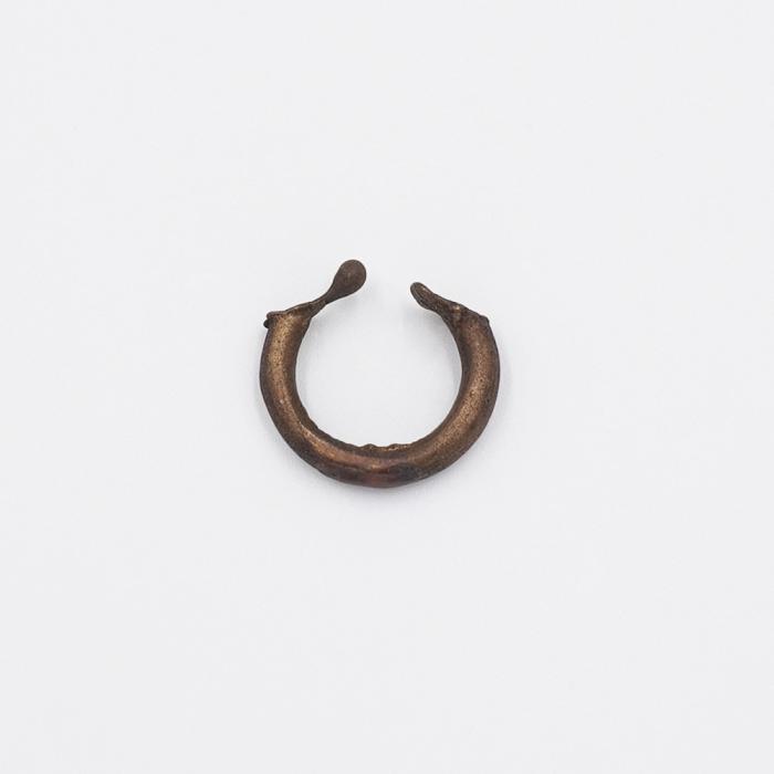 Bronze Ring 01_1/9 by Rudee Tancharoen
