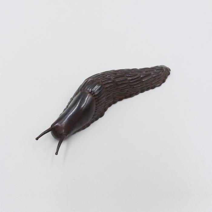 Slug by David Bielander