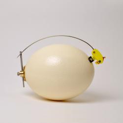 Carrying Device for an Ostrich Egg by Sigurd Bronger